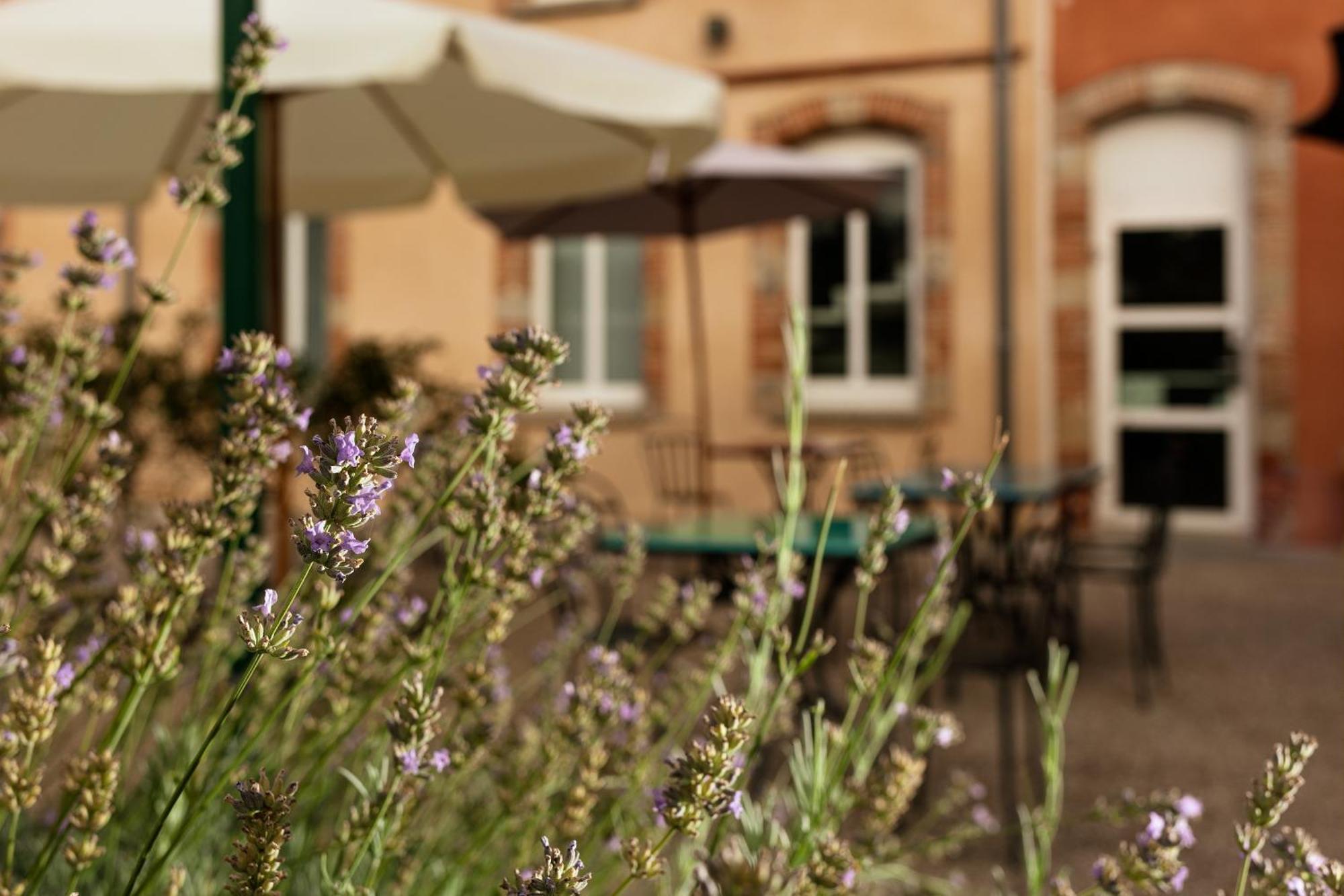 Ibis Styles Toulouse Lavaur Ξενοδοχείο Εξωτερικό φωτογραφία